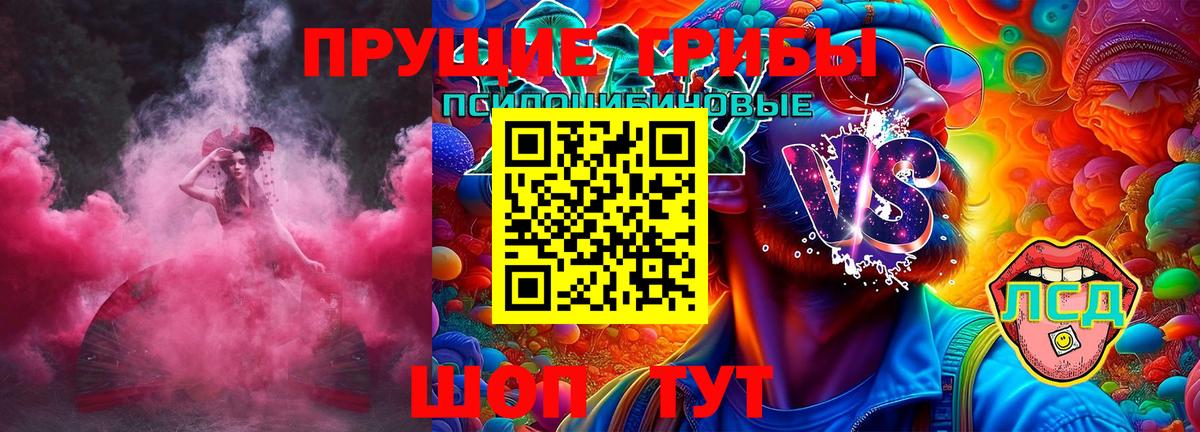 Ефремов  Псилоцибиновые грибы Cubensis  Вход с VPN 